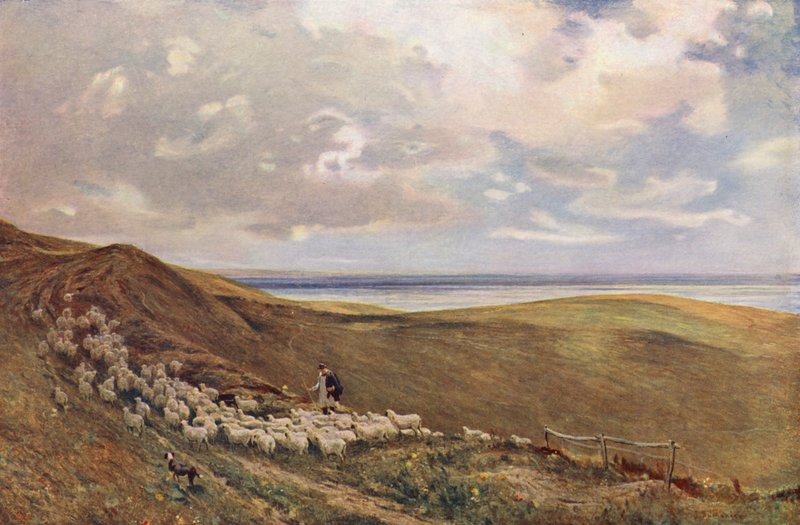 På South Downs nær Brighton (farvelitografi) af James Aumonier
