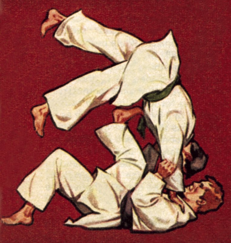 Judo af James Edwin McConnell