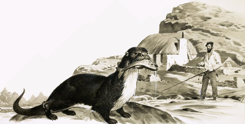 Odder med fisk og mand, der fisker af James Edwin McConnell