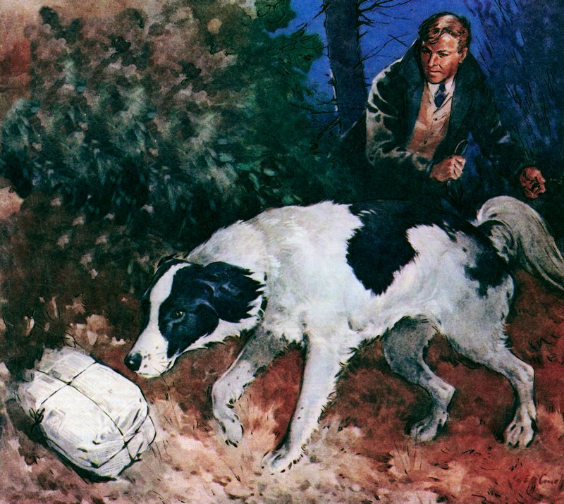 Pickles, VM-hunden (farvelitografi) af James Edwin McConnell