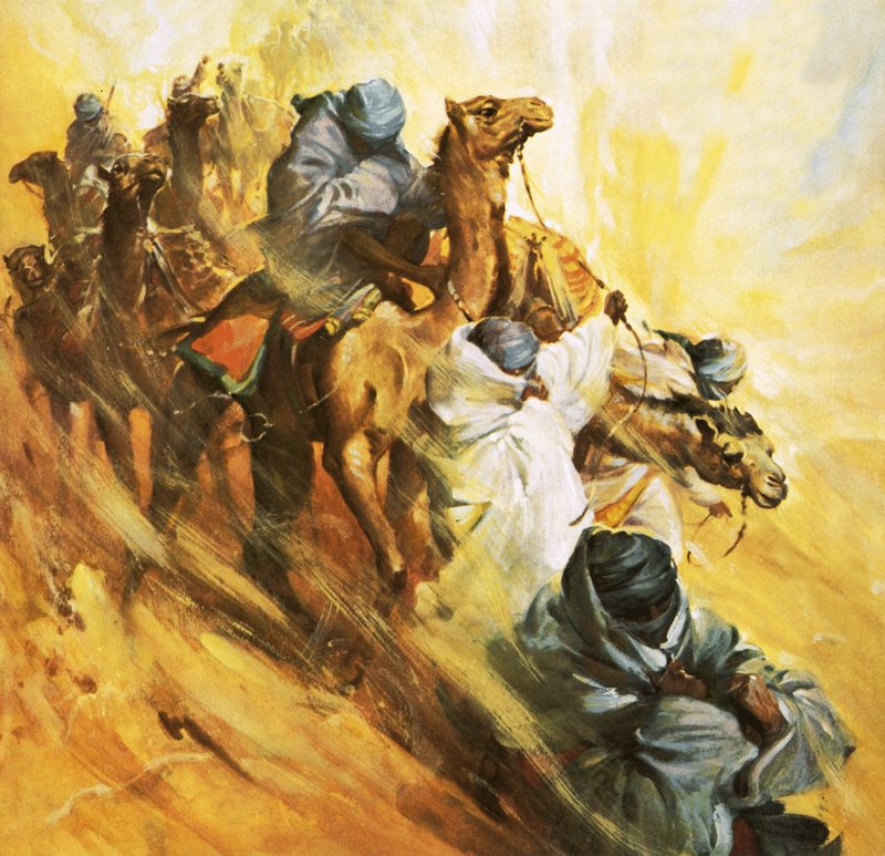 Rosita Forbes tager ud for at finde den halvmytiske fæstning Kufra af James Edwin McConnell