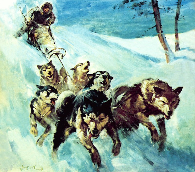 Den canadiske husky af James Edwin McConnell
