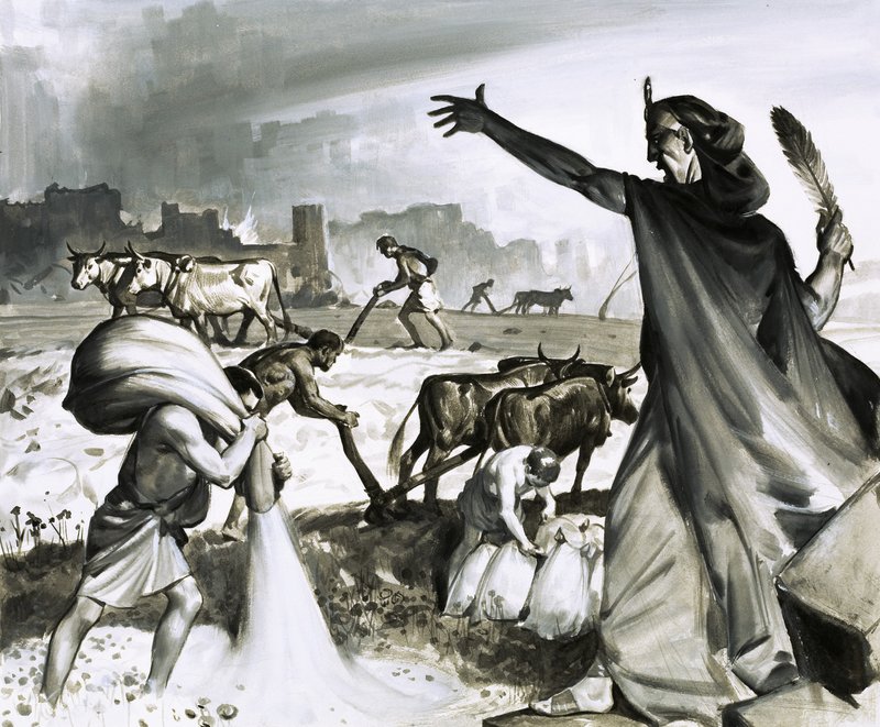 Karthagos storhed og fald: Den romerske forbandelse over Karthago af James Edwin McConnell