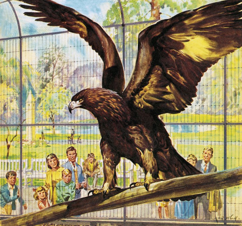 Hvem er hvem i Zoo Flyvefærdig Goldie af James Edwin McConnell