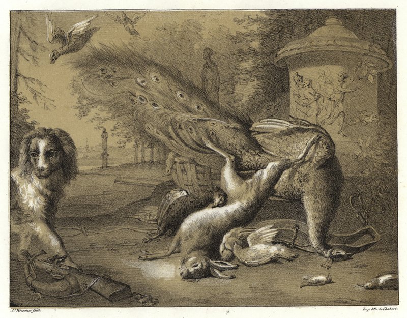 Stilleben med en påfugl og en hund af Jan Baptist Weenix