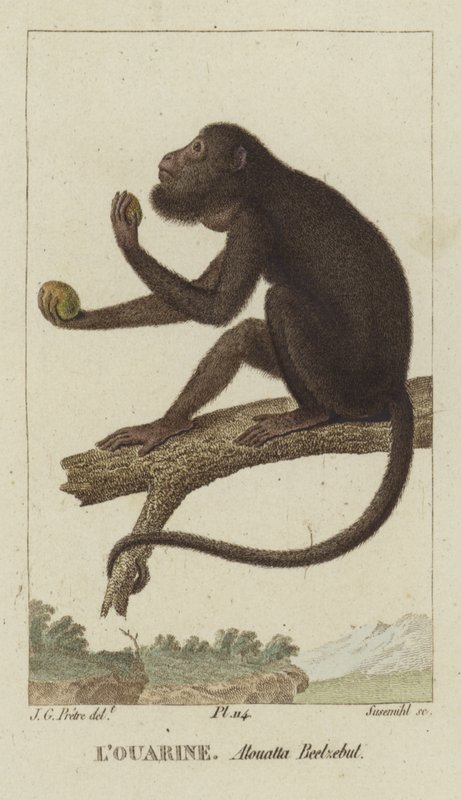 Rødhændet brøler af Jean Gabriel Pretre