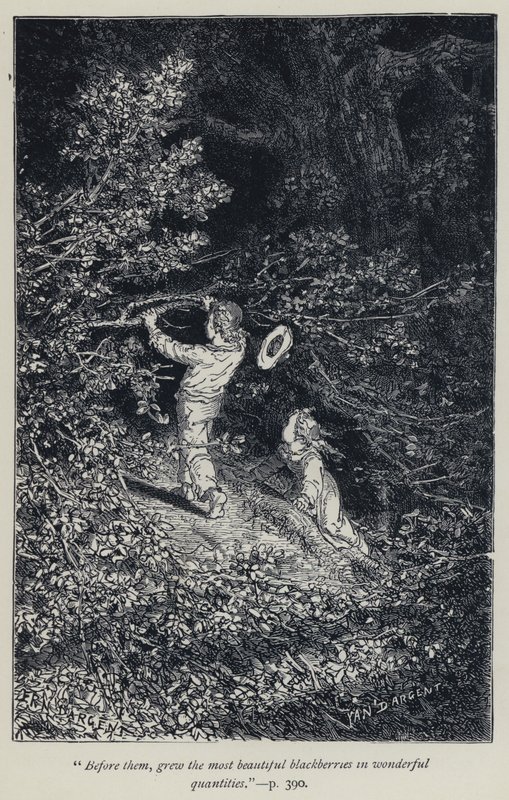 "Før dem dyrkede de smukkeste brombær i vidunderlige mængder" (gravering) af Jean Edouard Dargent