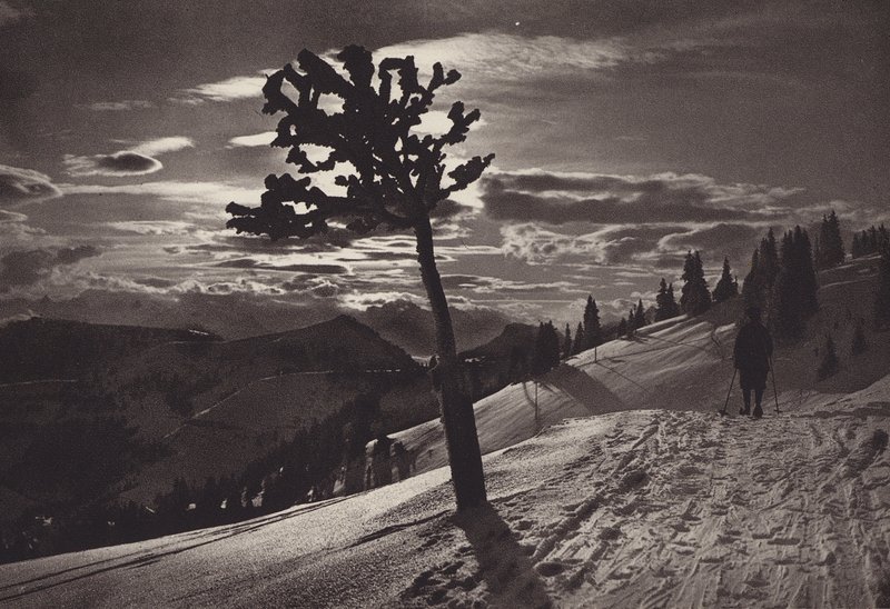 Rigi Kaltbad, månelys nat om vinteren (s/h foto) af Jean Gaberell