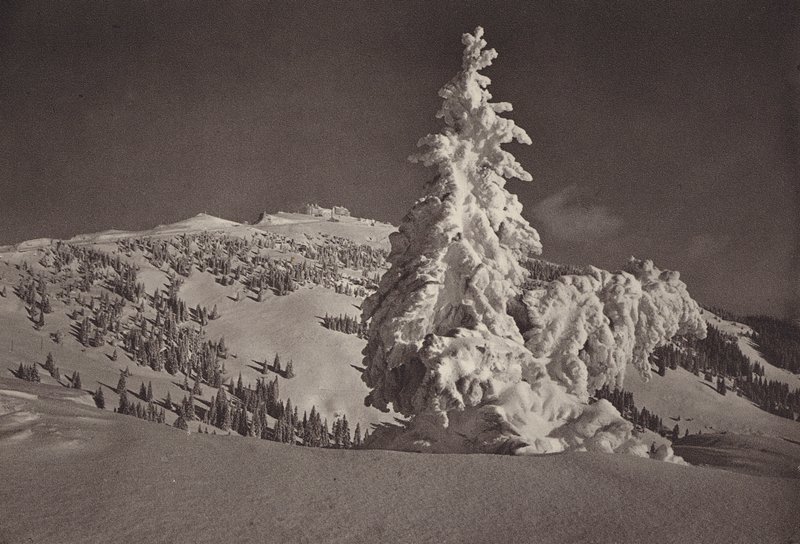 Rigi Kaltbad, Skigelande og Rigi Kulm (s/h foto) af Jean Gaberell