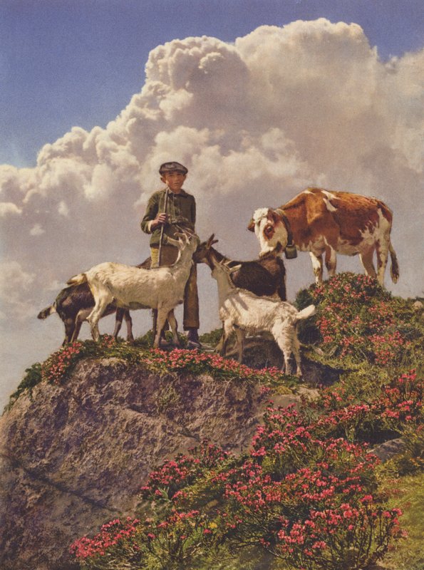Schweiz: Good Friends (farvefoto) af Jean Gaberell