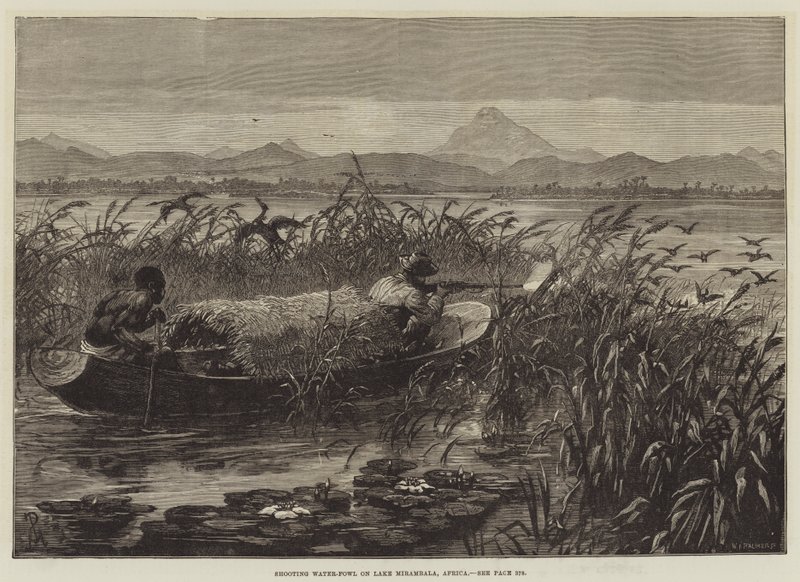 Skydning af vandfugle på Mirambala-søen, Afrika af Johann Nepomuk Schonberg
