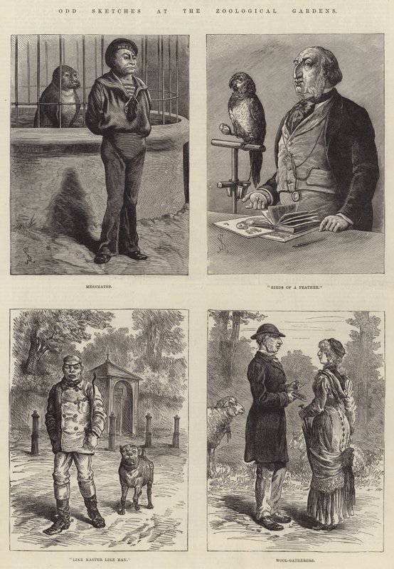 Ulige skitser ved Zoologisk Have af Johann Nepomuk Schonberg
