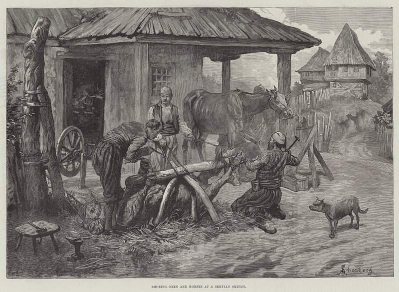 Skoning af okser og heste på en servian-smedje af Johann Nepomuk Schonberg