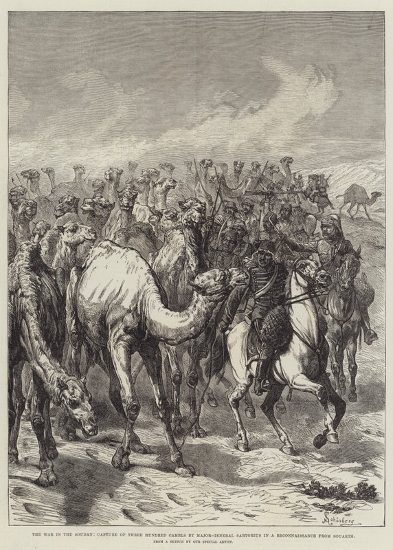 Krigen i Soudan, fangst af tre hundrede kameler af generalmajor Sartorius i en rekognoscering fra Souakim af Johann Nepomuk Schonberg