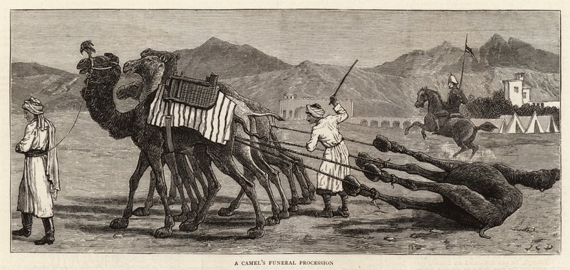 En kamels begravelsesoptog af John Charles Dollman