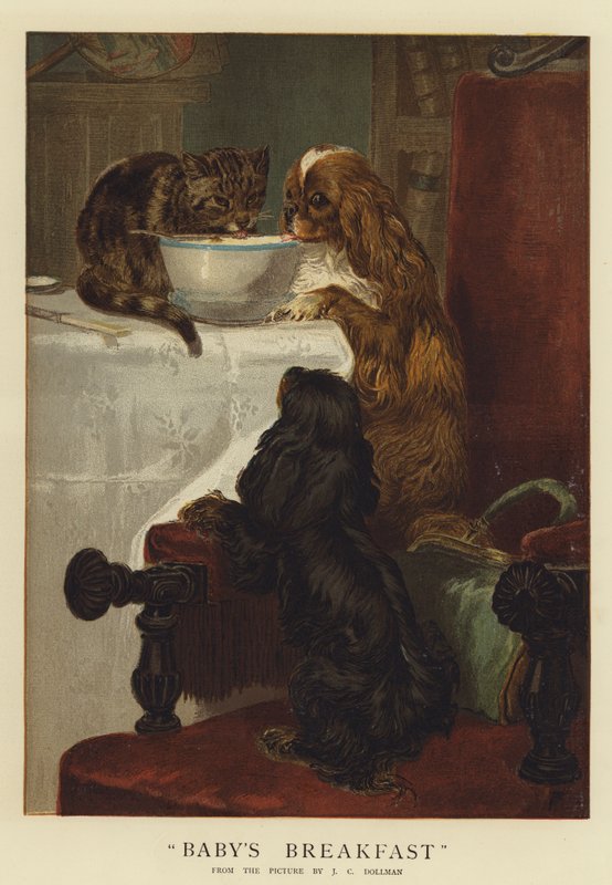 Babys morgenmad (chromolitho) af John Charles Dollman