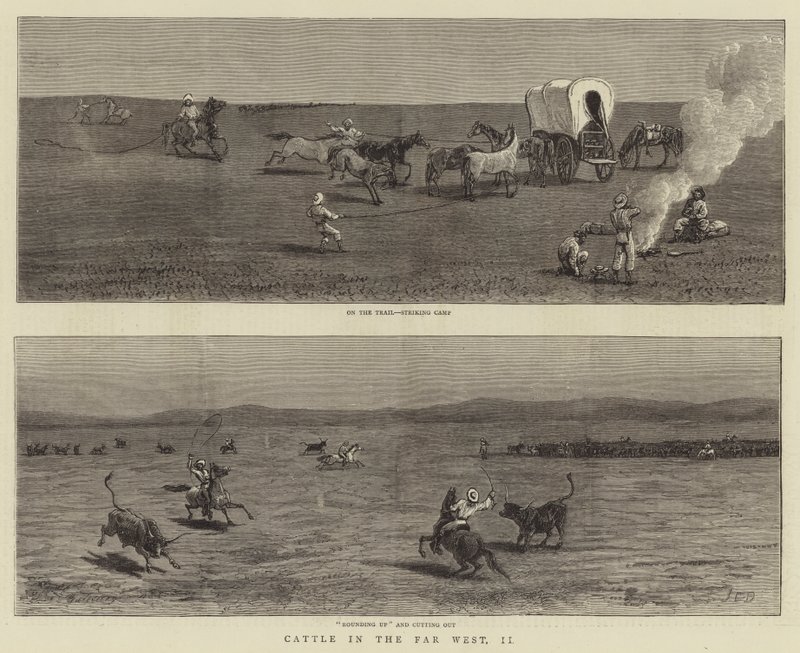 Kvæg i det fjerne vestlige område, II af John Charles Dollman