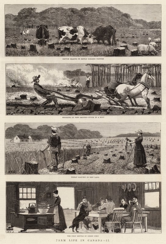 Gårdliv i Canada, II af John Charles Dollman