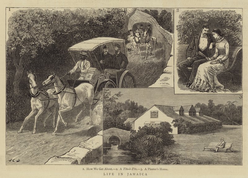 Livet på Jamaica af John Charles Dollman