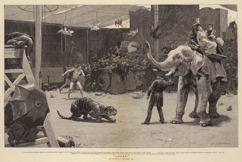 Løs! af John Charles Dollman