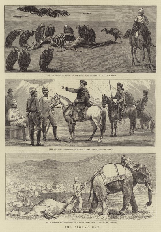 Den afghanske krig af John Charles Dollman