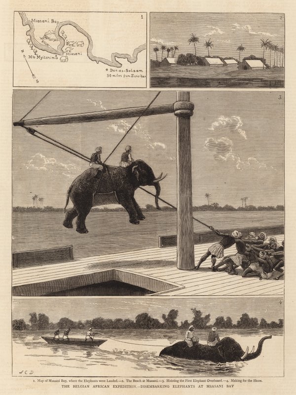 Den belgiske afrikanske ekspedition, der lander elefanter ved Msasani-bugten af John Charles Dollman