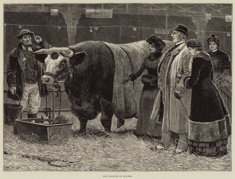 Glæden ved succes af John Charles Dollman