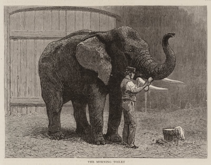 Vandringer i zoologisk have af John Charles Dollman