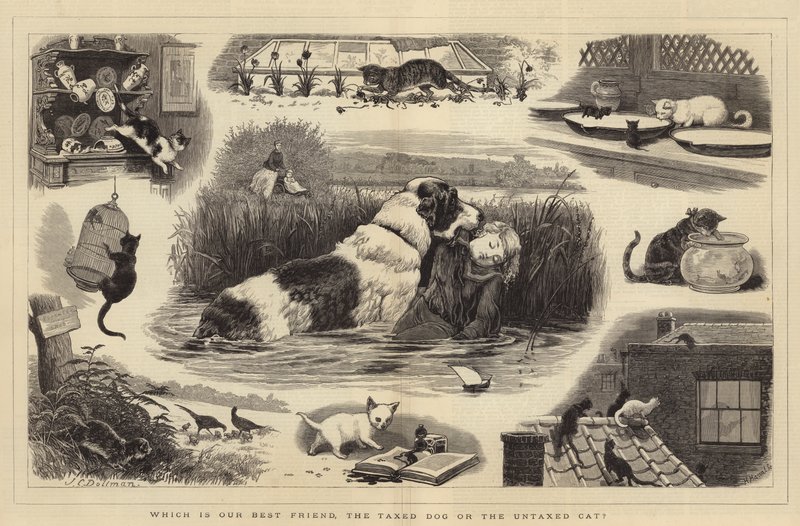 Hvilken er vores bedste ven, den beskattede hund eller den ubeskattede kat af John Charles Dollman