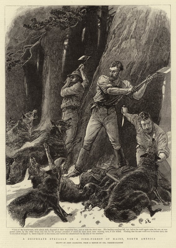 En desperat kamp i en fyrreskov i Maine, Nordamerika af John Charlton