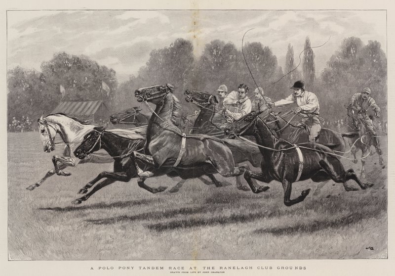 Et polo pony tandemløb på Ranelagh Club Grounds af John Charlton