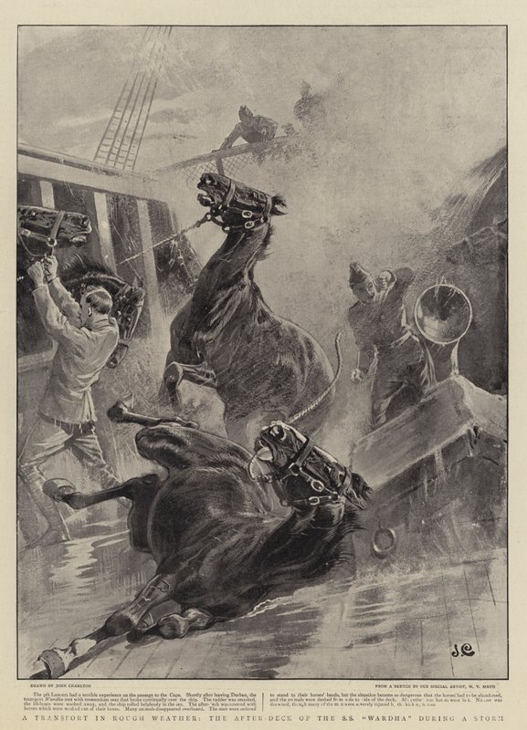 En transport i hårdt vejr, efterdækket af SS Wardha under en storm af John Charlton
