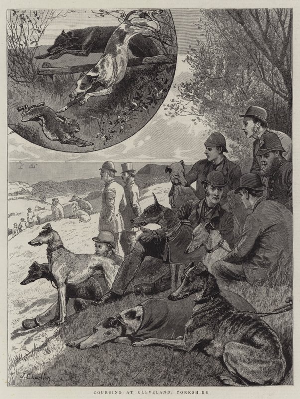 Coursing i Cleveland, Yorkshire af John Charlton