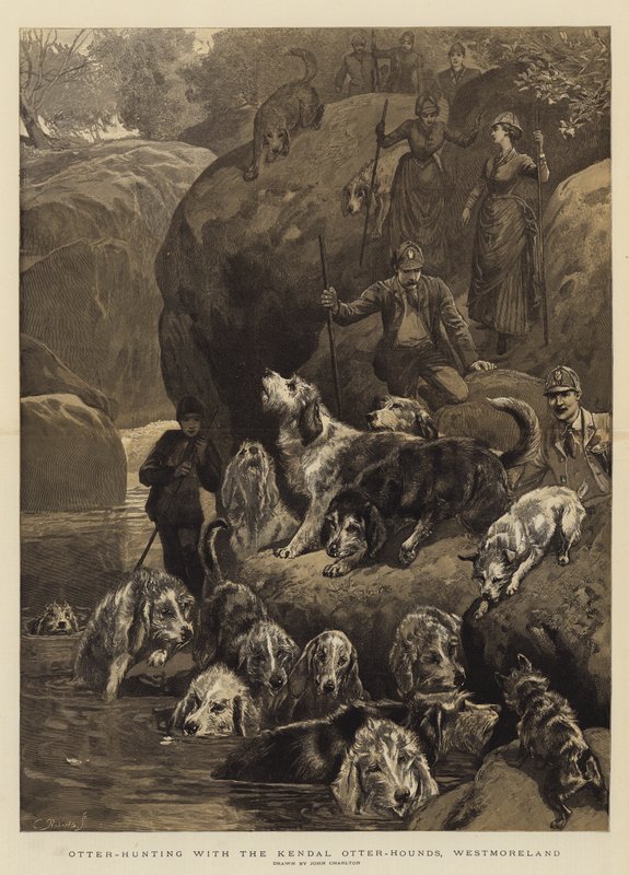 Otter-jagt med Kendal Otter-Hounds, Westmoreland af John Charlton