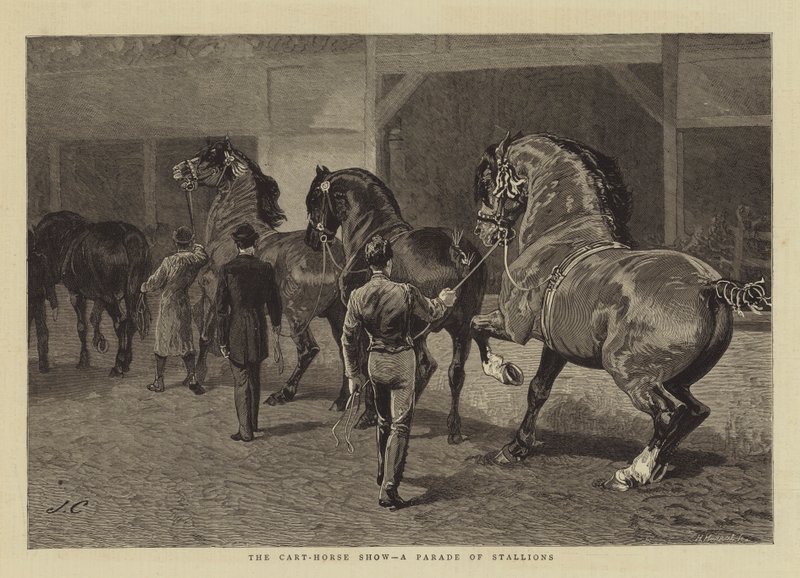Cart-Horse Show, en parade af hingste af John Charlton