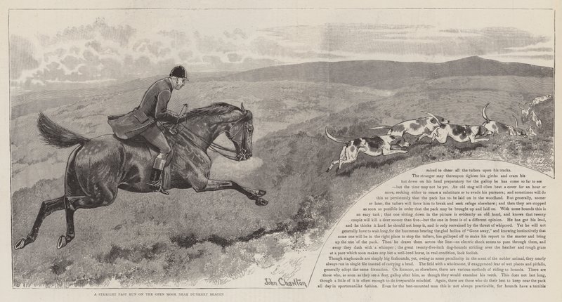 Jagten på de vilde kronhjorte i Exmoor af John Charlton