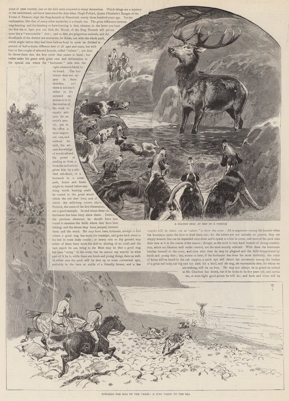 Jagten på den vilde kronhjort på Exmoor af John Charlton