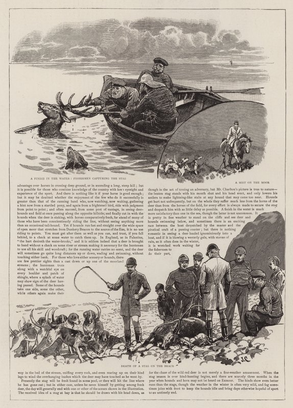 Jagten på den vilde kronhjort på Exmoor af John Charlton