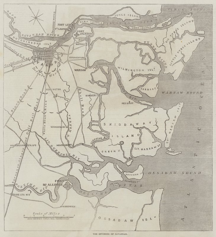 Omgivelserne omkring Savannah af John Dower