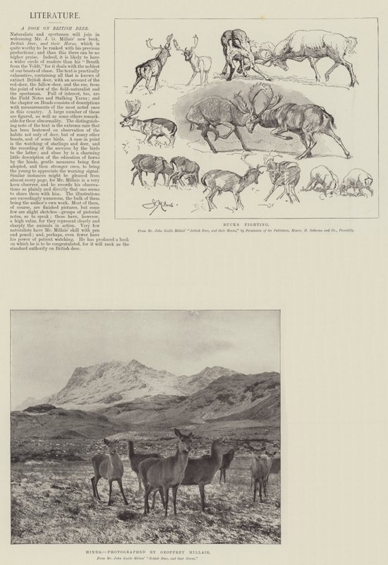En bog om britiske hjorte af John Guille Millais
