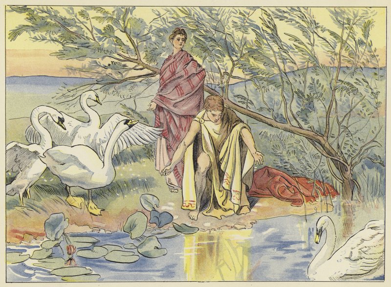 Narcissus af John Shenton Eland