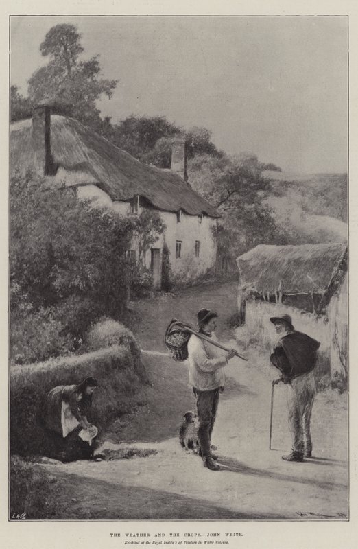 Vejret og afgrøderne af John White