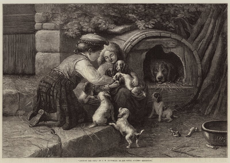 Blandt kæledyrene af John William Bottomley