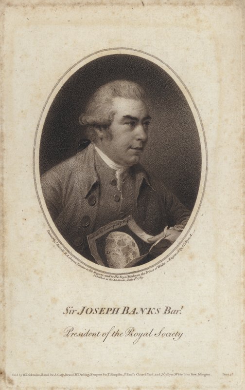 Sir Joseph Banks, engelsk naturforsker, botaniker og præsident for Royal Society (gravering) af John (after) Russell
