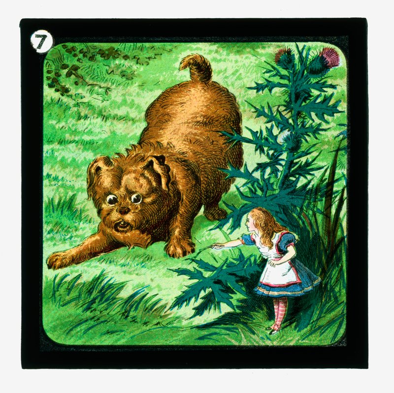 Alice i Eventyrland, farvede lanterneglas (lanternerutsjebane) af John (after) Tenniel