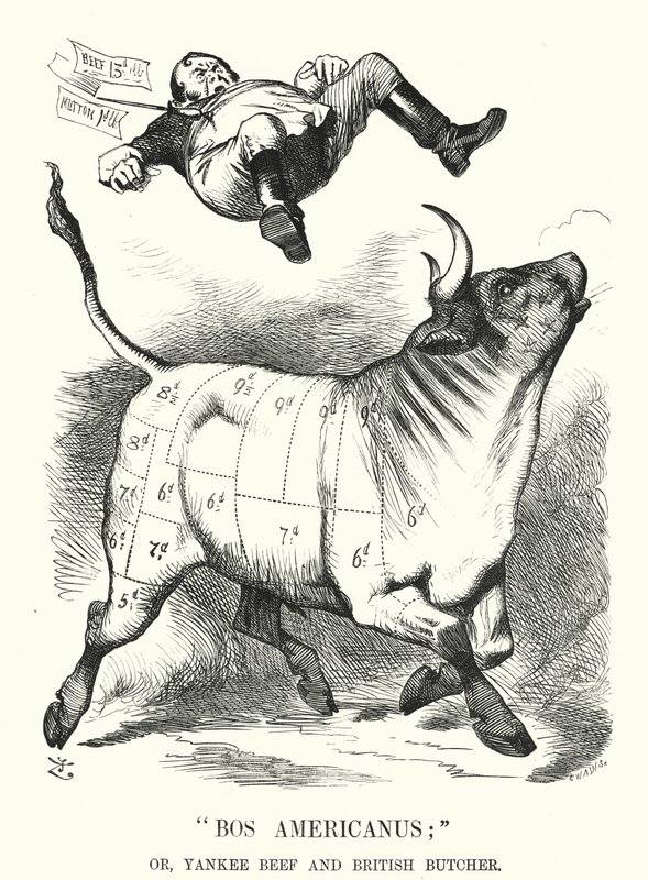 Punch tegnefilm: Bos Americanus; eller Yankee Beef og British Butcher - forventede fordele for forbrugerne ved at importere amerikansk kød (gravering) af John (after) Tenniel