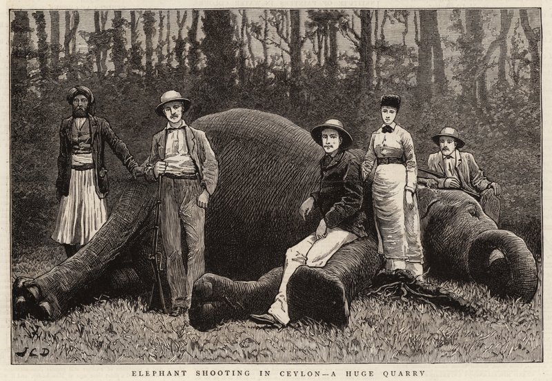 Elefantskydning i Ceylon, et kæmpe stenbrud af John Charles Dollman