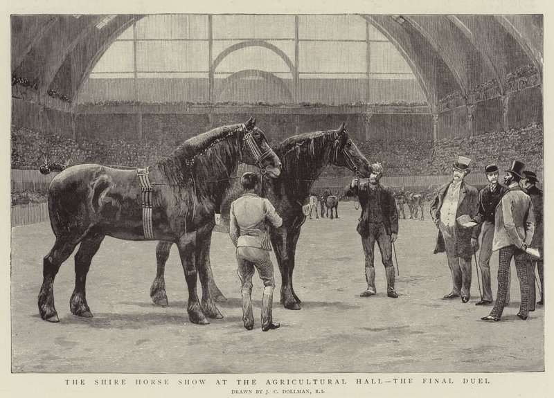 Shire Horse Show i Landbrugshallen, den sidste duel af John Charles Dollman