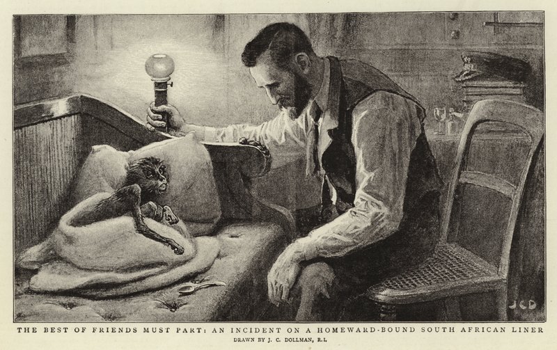 De bedste venner må skilles, en hændelse på et sydafrikansk linjeskib på vej hjemad af John Charles Dollman