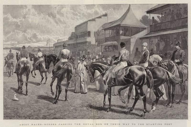 Ascot Races, Heste, der passerer Royal Box på vej til startposten af John Charlton